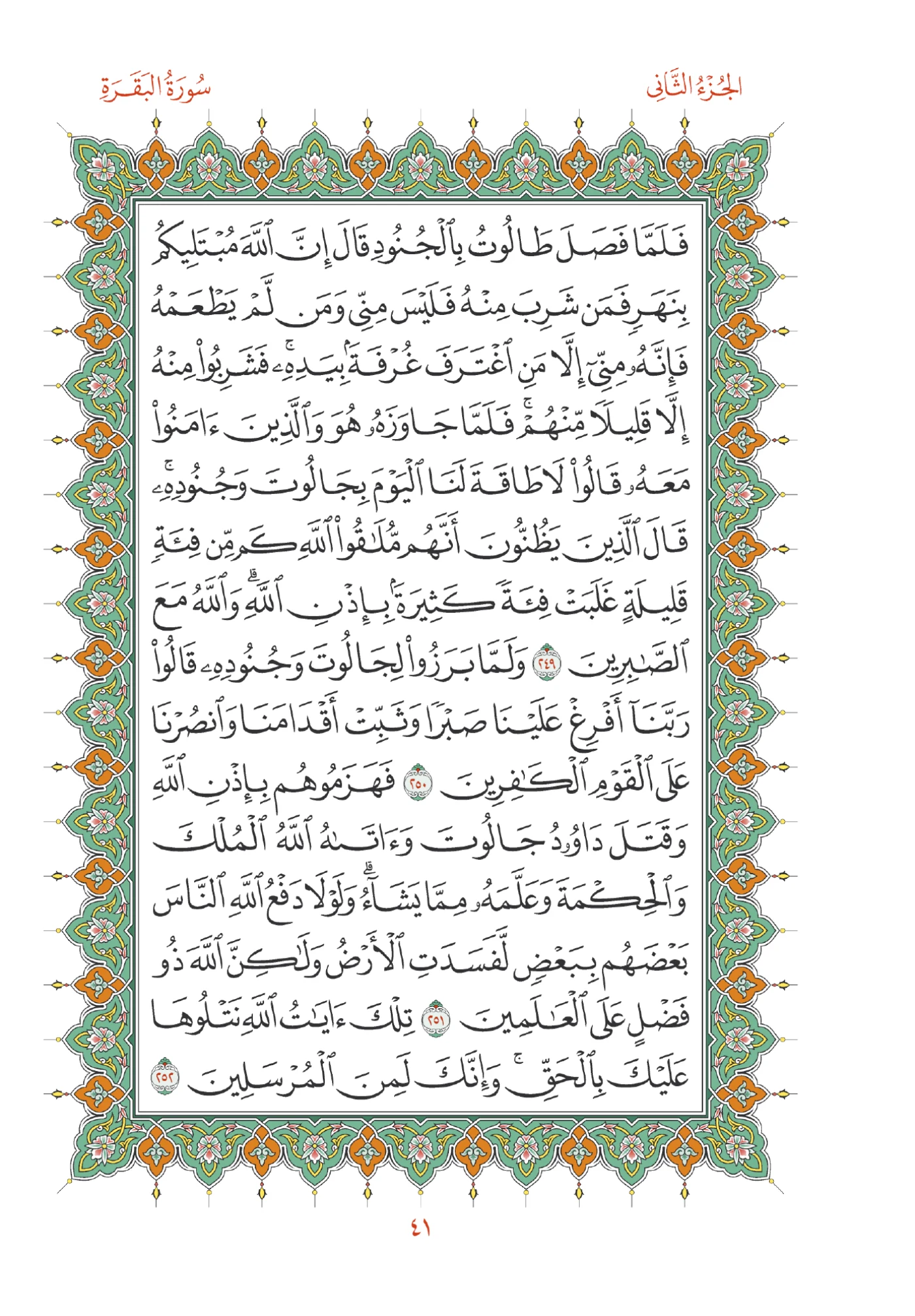 صفحة المصحف رقم 41