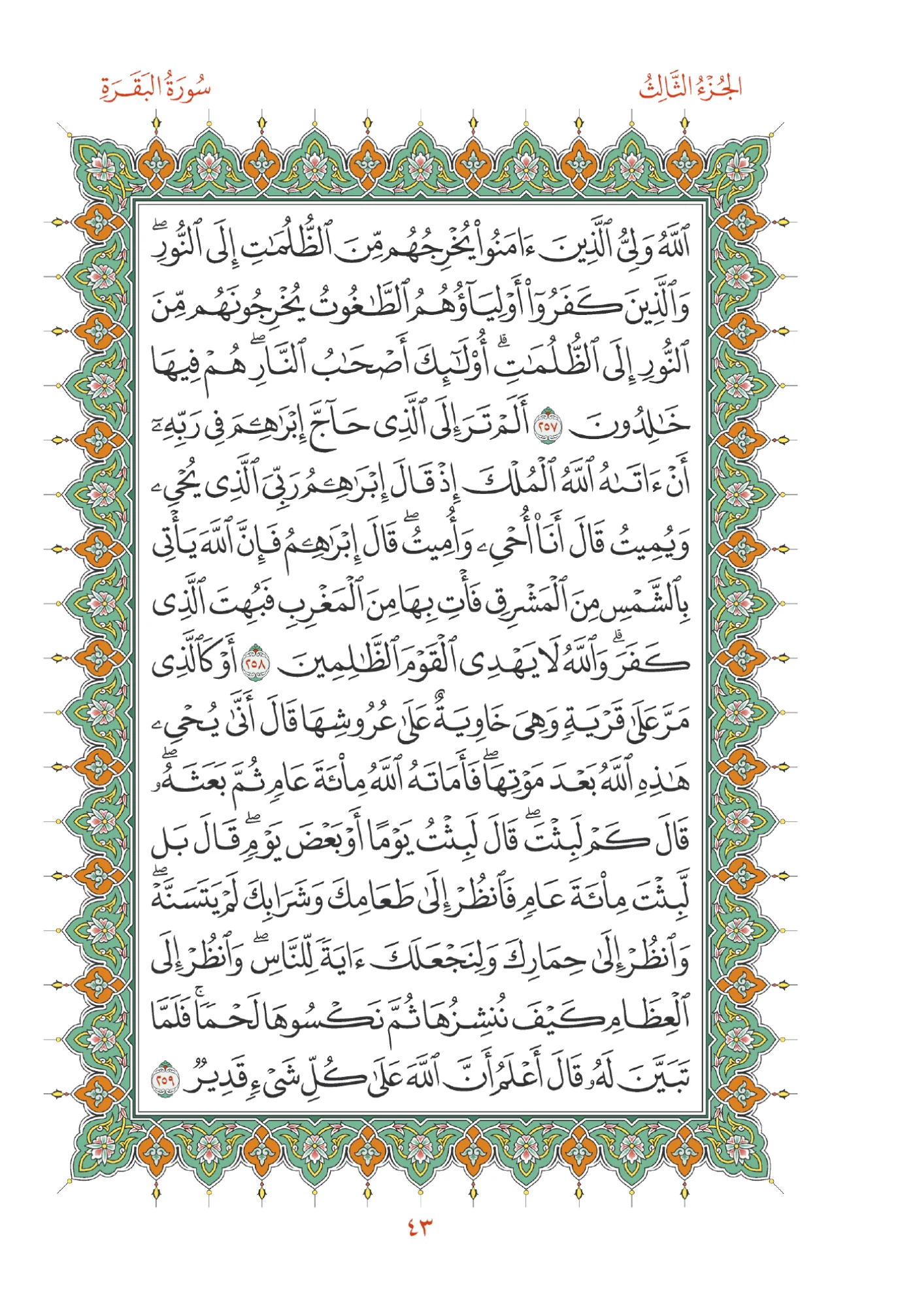 صفحة المصحف رقم 43