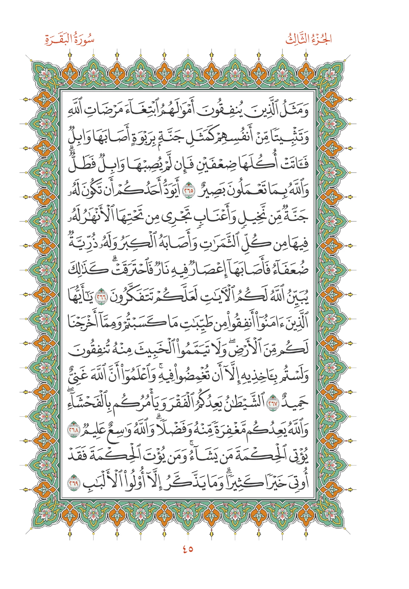 صفحة المصحف رقم 45
