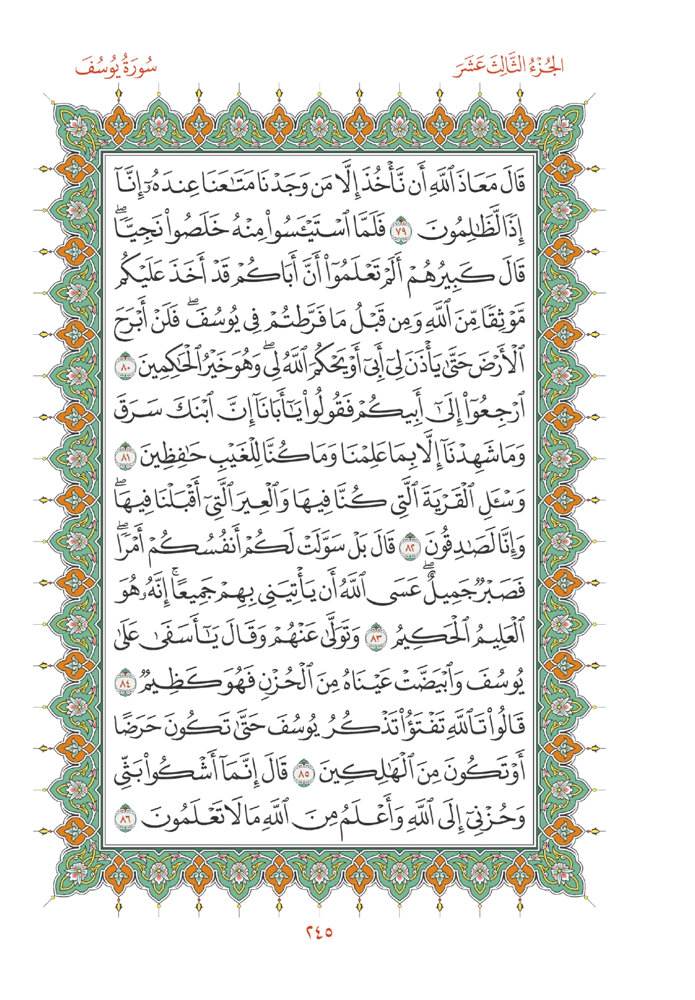 صفحة المصحف رقم 245