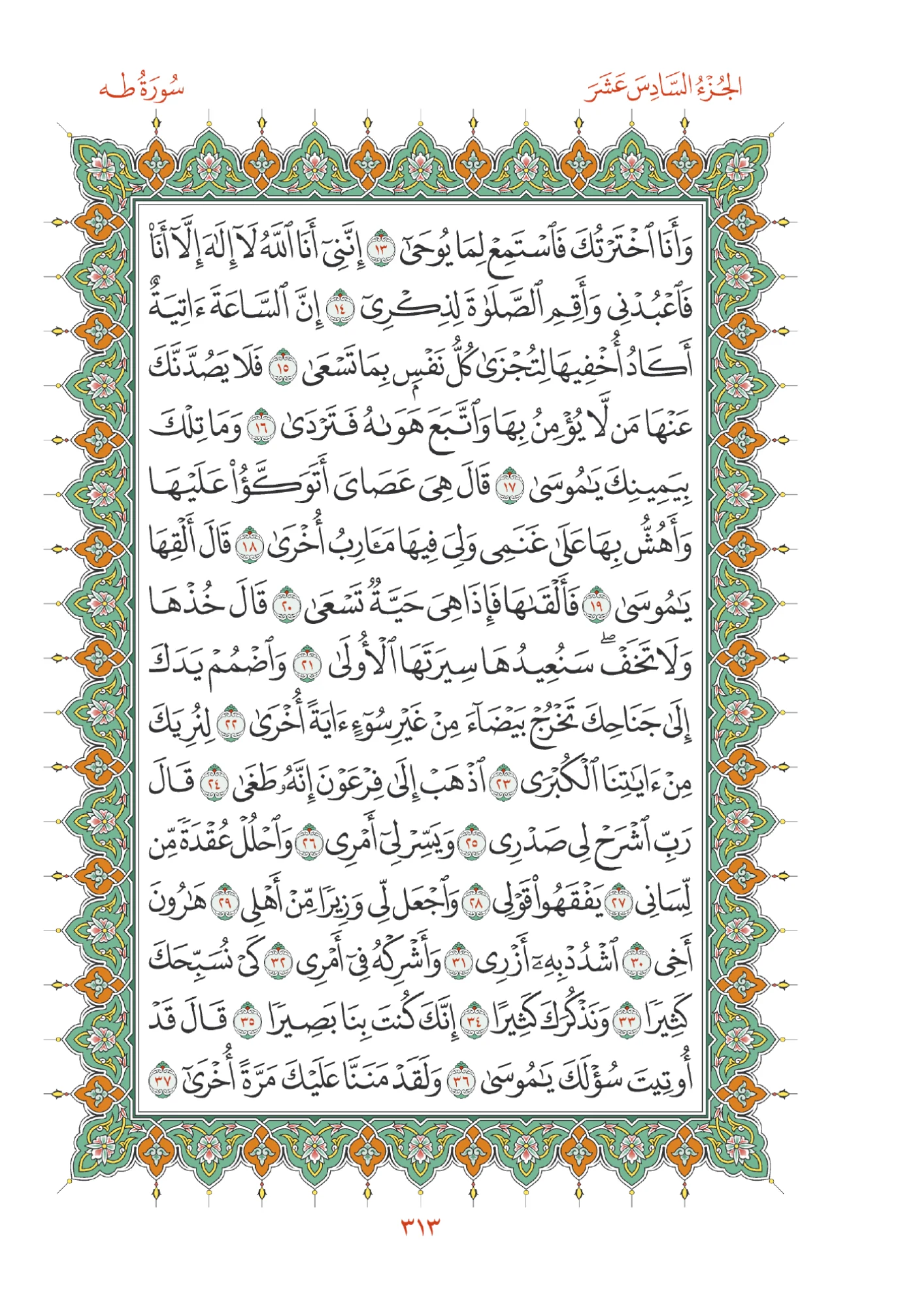 صفحة المصحف رقم 313